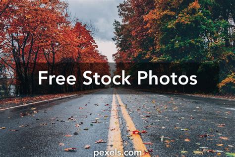 100 free stock photos|copyright free pictures of people.